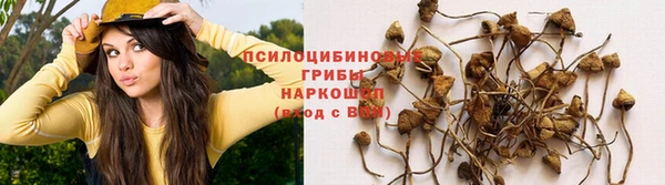 шишки Алексин