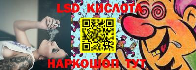 стаф Кимры