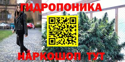 стаф Кимры