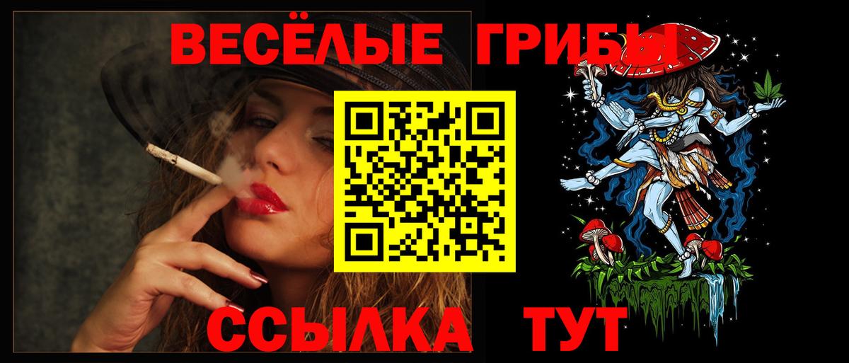 Галлюциногенные грибы GOLDEN TEACHER Раменское